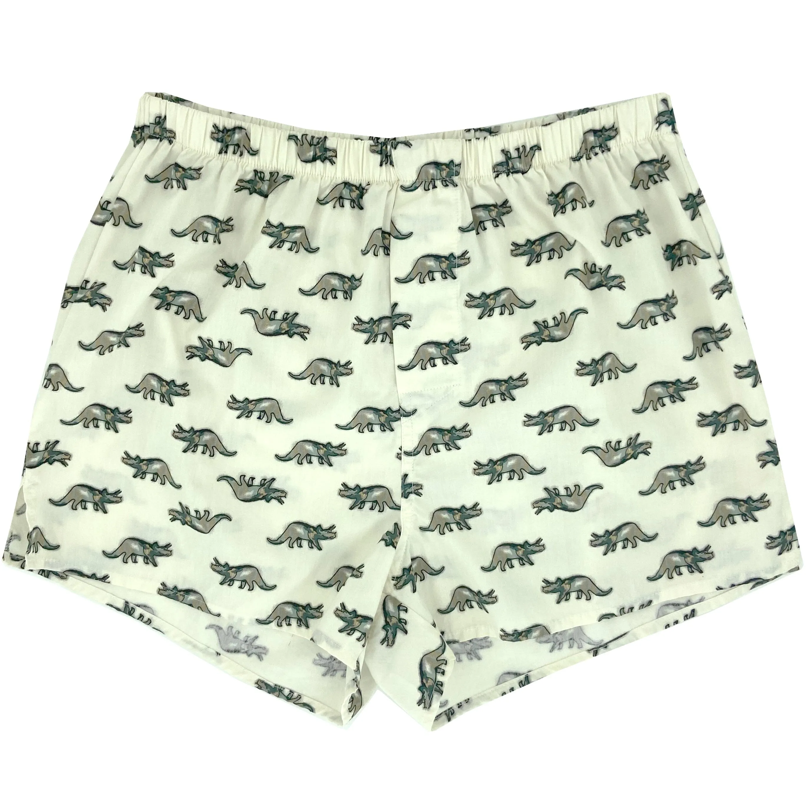 DINO DEFENSE BOXERS