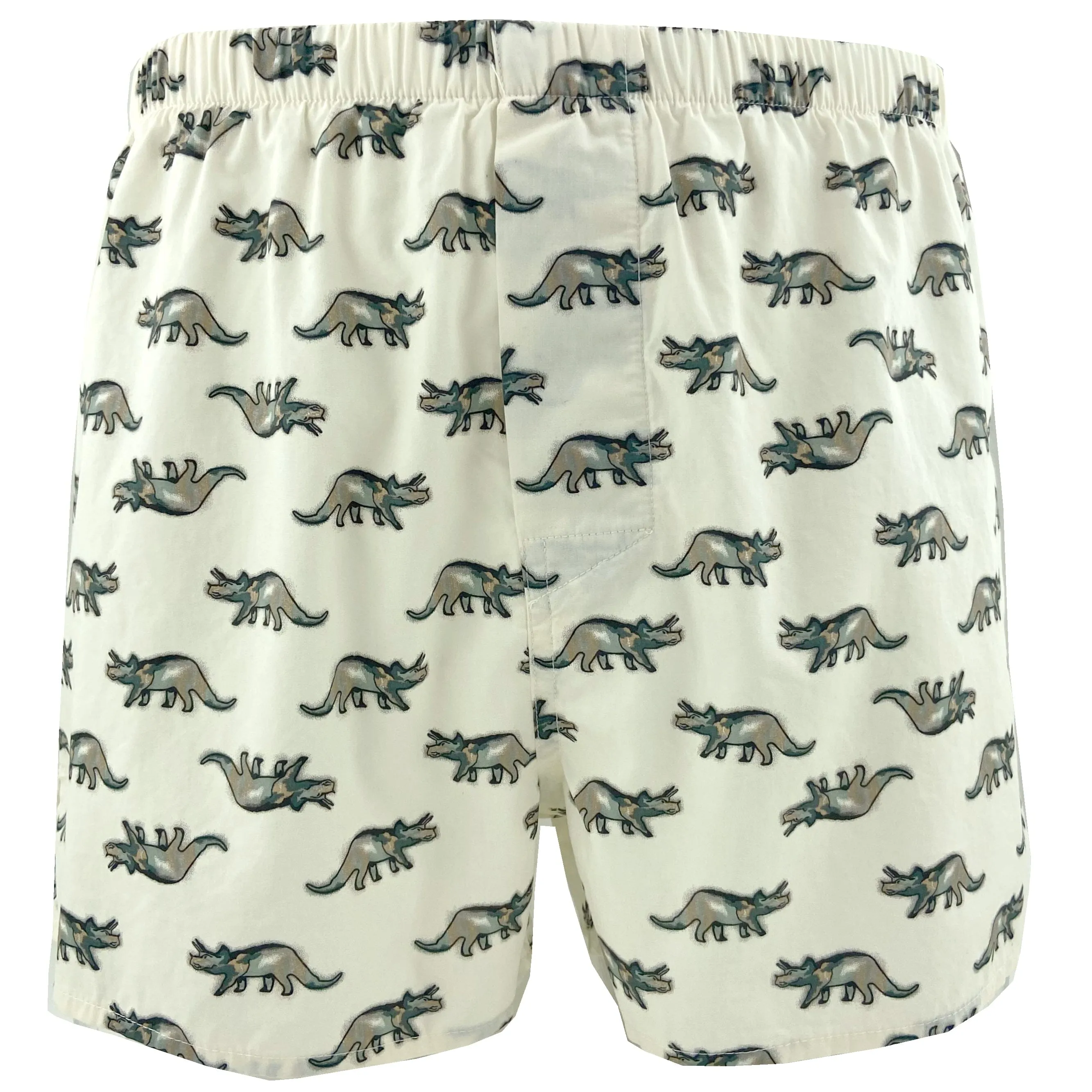 DINO DEFENSE BOXERS