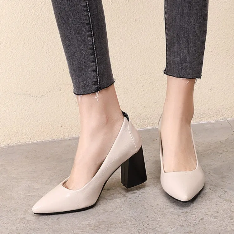 Women's Pointed Toe High Heeled Chunky Heels Pumps